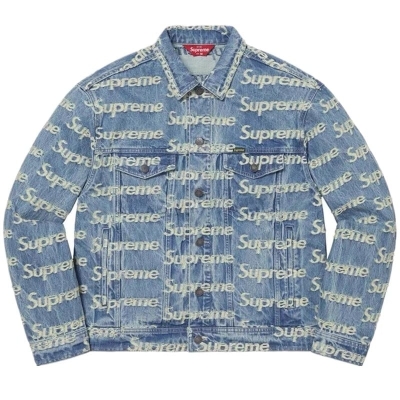 Supreme (シュプリーム) 17AW ×THE NORTH FACE 雪山 マウンテン