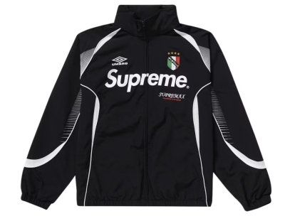 Supreme (シュプリーム) 17AW ×THE NORTH FACE 雪山 マウンテン