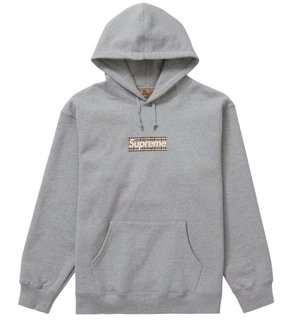 シュプリーム Box Logo Hooded Sweatshirt SS22 Week 3 パーカー