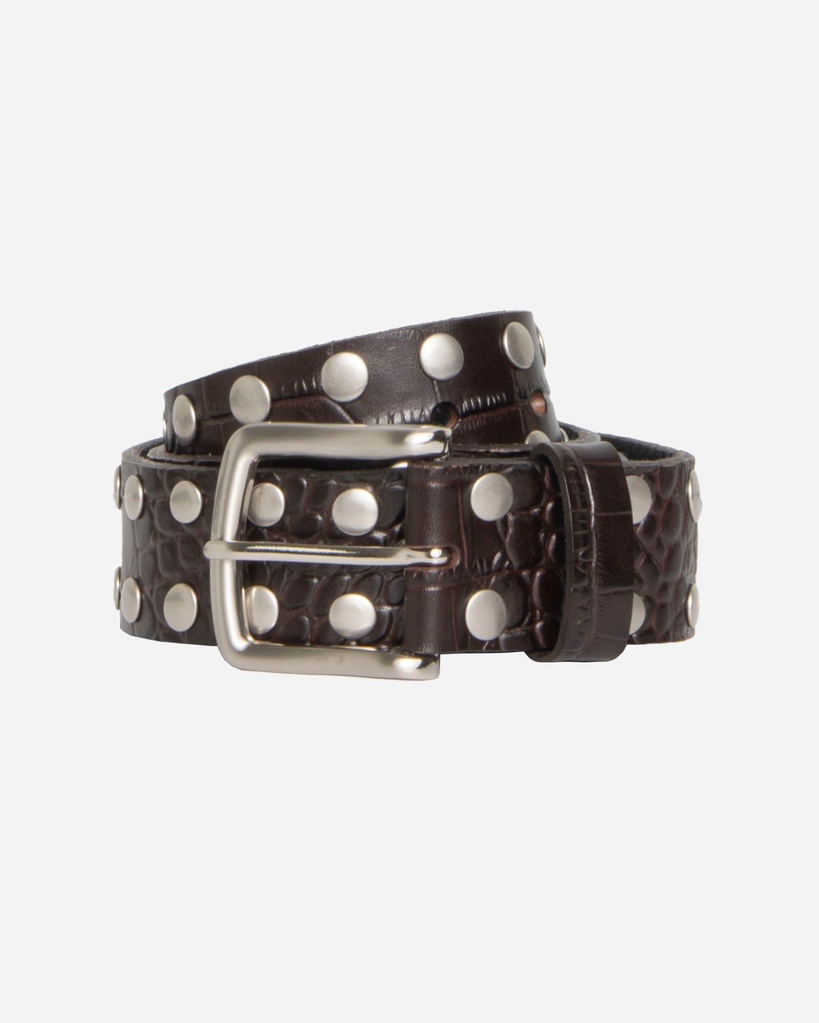 STUSSY 24FW ベルト ☆24SS☆Stussy x Levi's Belt (STUSSY/ベルト) 106080375【BUYMA】