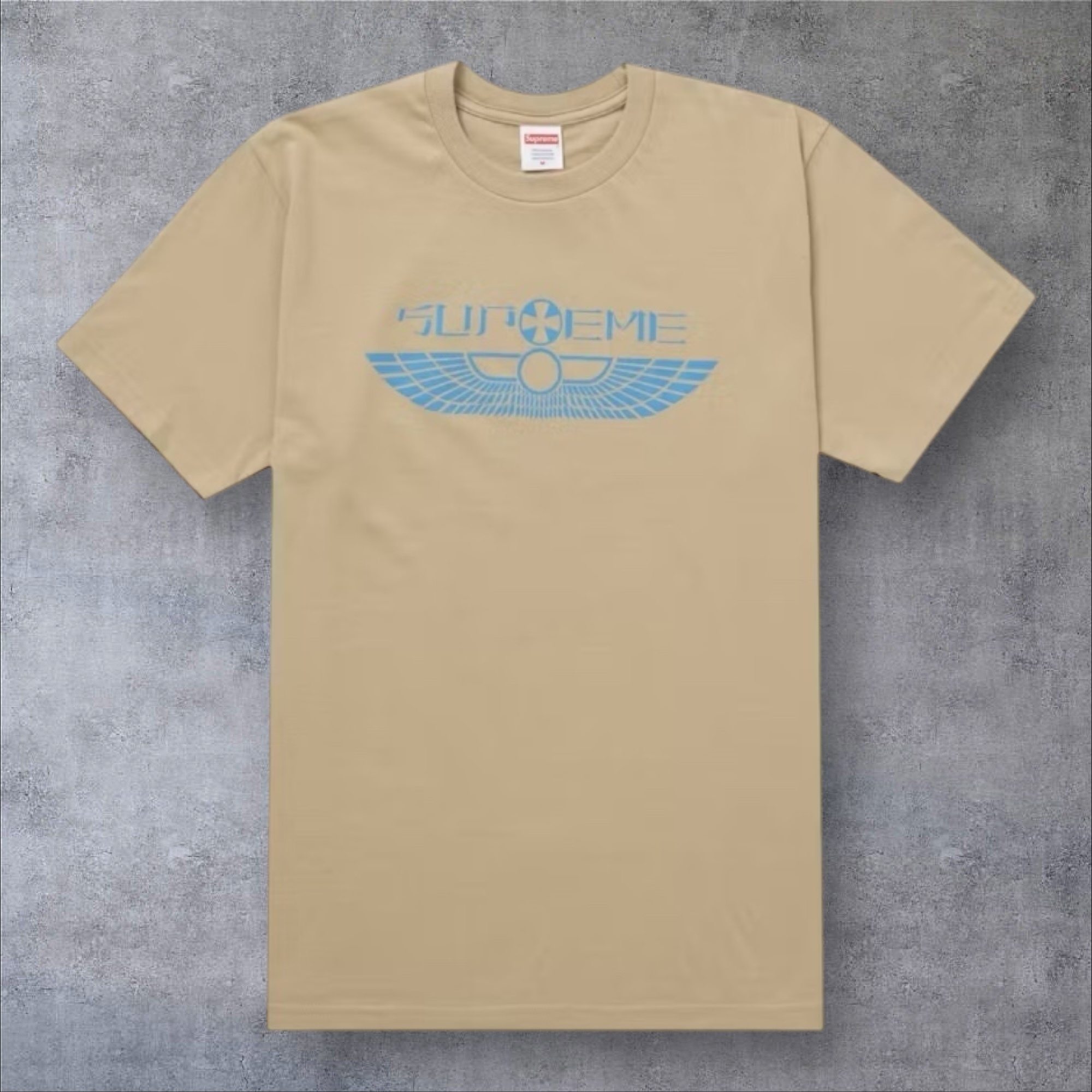 2025SS】 シュプリーム Wings Tee. Original artwork by Sk8thing